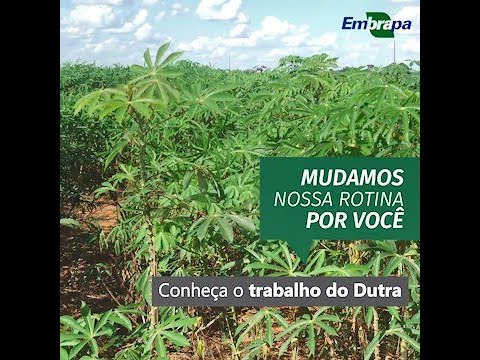 todospeloagro conheca o trabalho do dutra