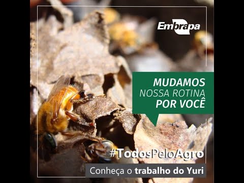 todospeloagro conheca o trabalho do yuri