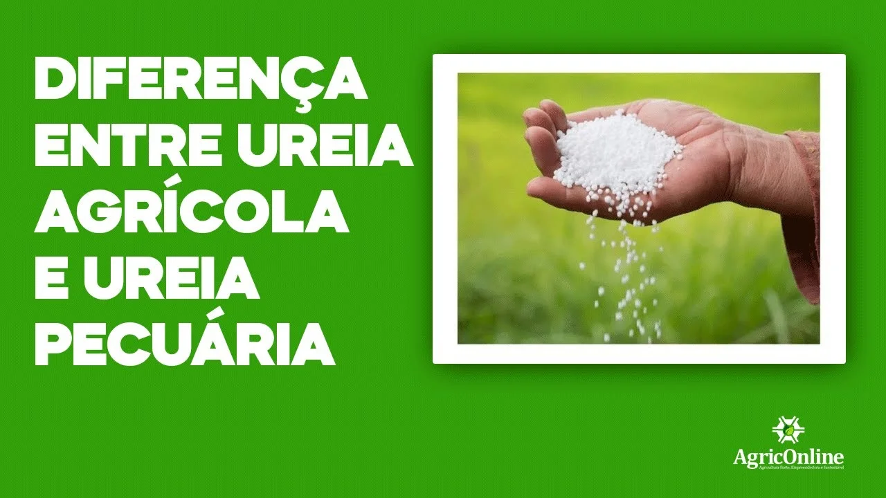 Ureia: agrícola vs pecuária - qual a diferença? 18 ureia agricola vs pecuaria qual a diferenca