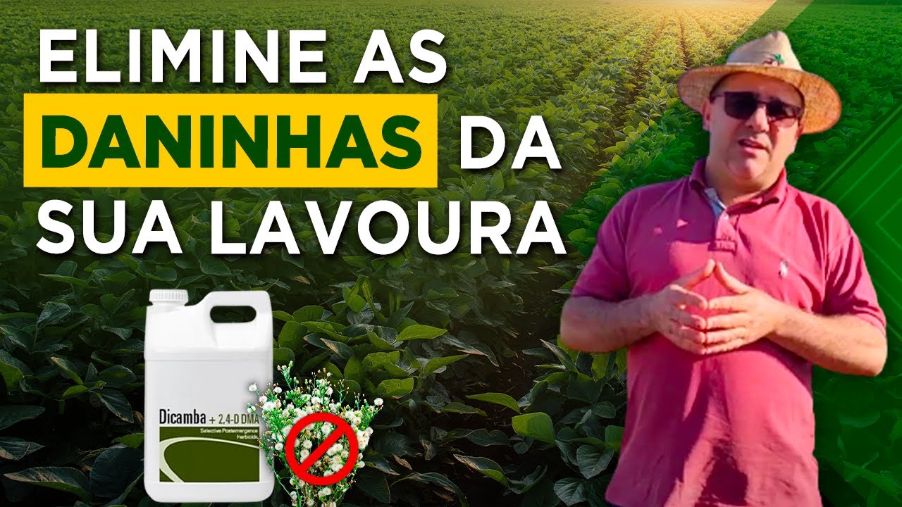Utilize o Dicamba com Prof. Leandro Galon