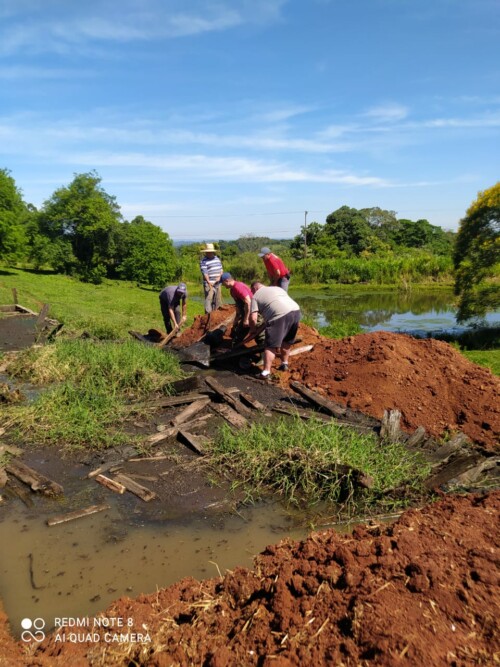 Vaca resgatada de estrume no Oeste de SC