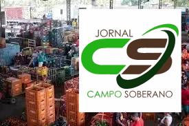 Variedade de Flores Disponíveis no Ceasa São Paulo