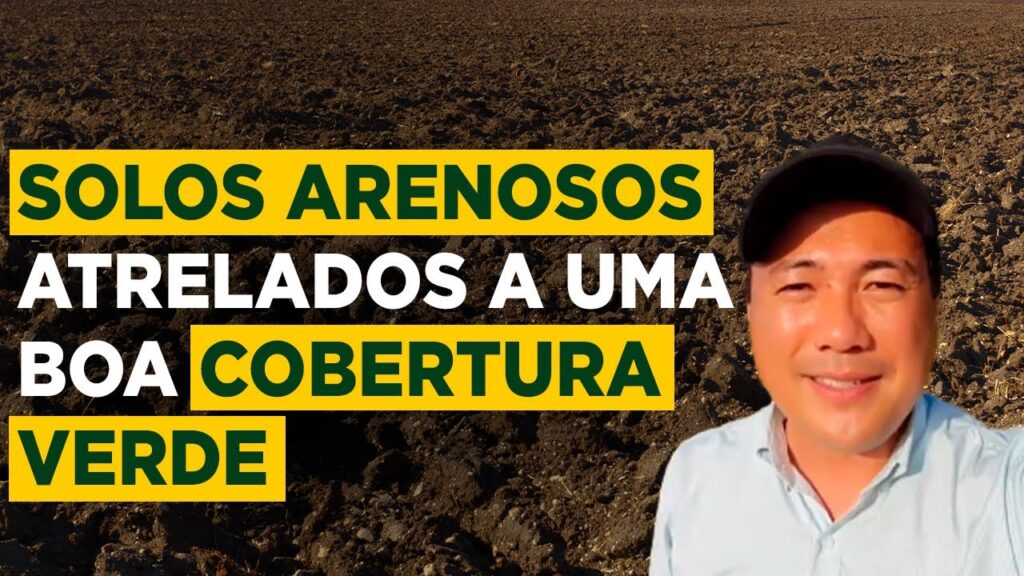 verde em solo arenoso dicas para cultivo