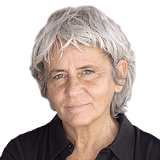 Voo livre: Opinião sobre pássaros 3 Voo de pássaro | Opinião | PÚBLICO - Público