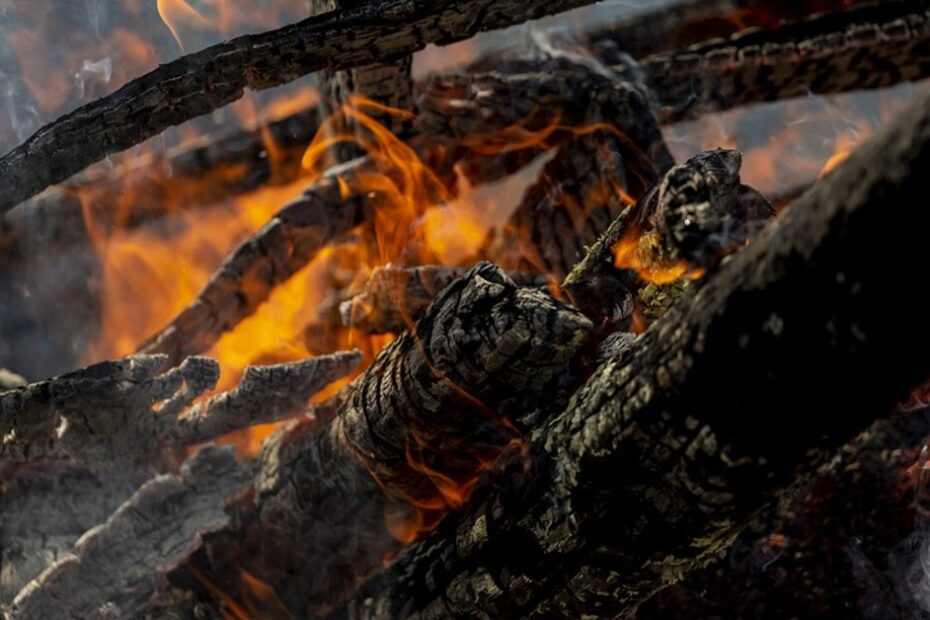 Mais de 17,3 milhões de hectares foram queimados em 2023 no país, aponta MapBiomas • Portal DBO