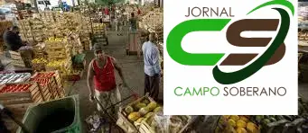 6 motivos para comprar flores frescas no Ceasa e alegrar seu dia 1 comprar flores no ceasa