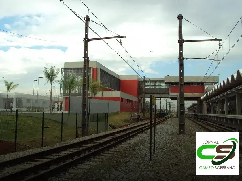 6 motivos para comprar um Volkswagen na concessionária da Ceasa