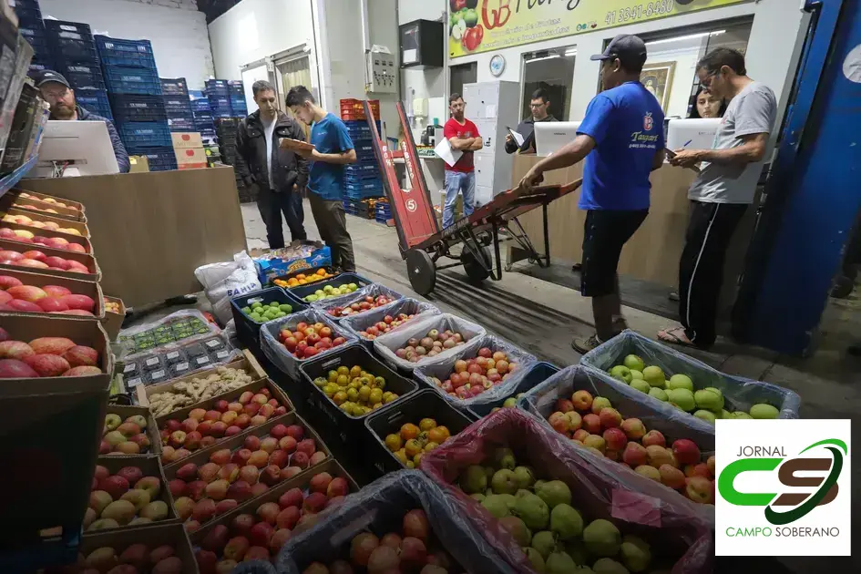 6 motivos para escolher a melhor distribuidora de alimentos em Minas Gerais 1 distribuidora de alimentos ceasa mg