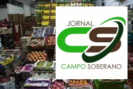 feira de carros no ceasa sp