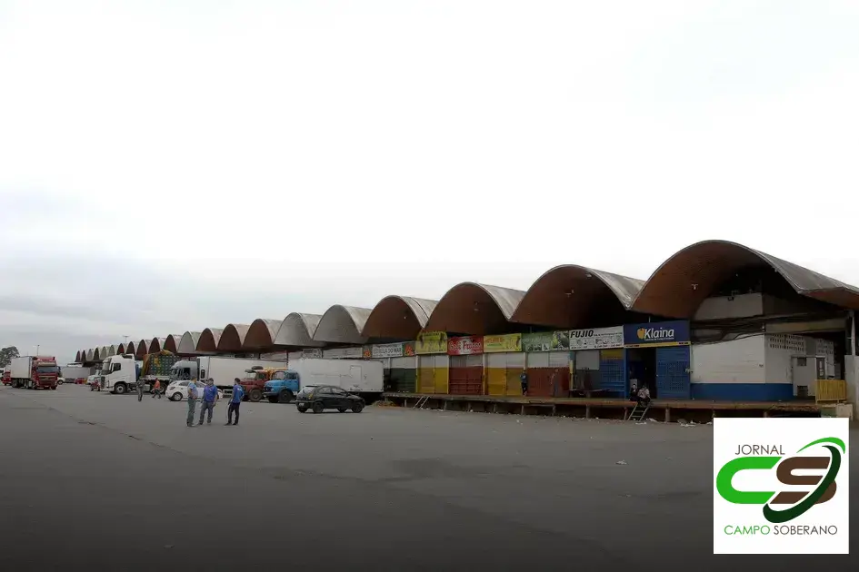 loja elÃ©trica no ceasa