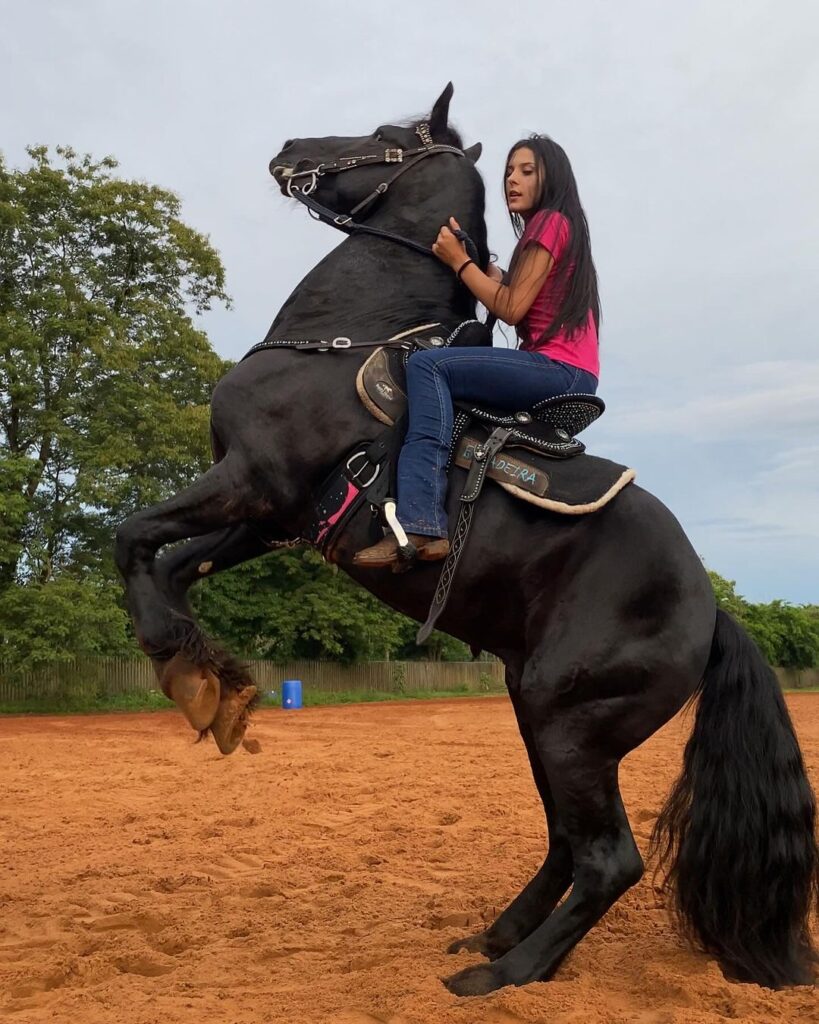 Ana Castela demonstra habilidades com cavalo e é chamada de 'encantadora de cavalos'