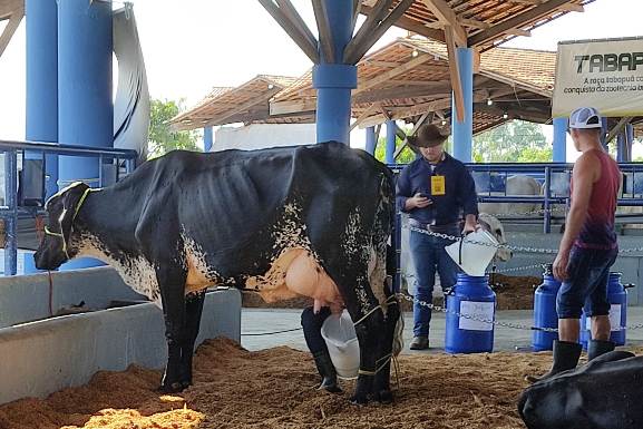 Vaca Ana Lú é campeã do 1º Torneio Leiteiro da Expoferr Show 2023