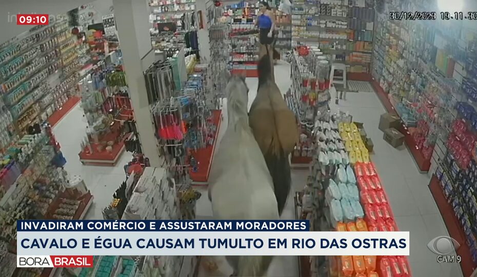 Cavalo e égua invadem comércio em Rio das Ostras - Band Jornalismo
