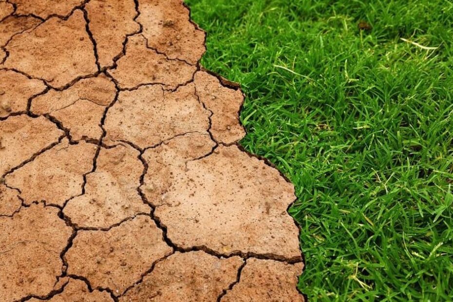 Clima do Brasil em janeiro será de seca e calorão; veja mais