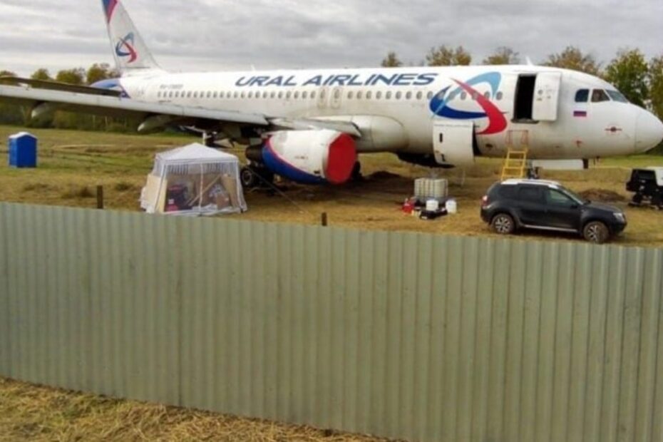 Companhia aérea paga fazendeiro por avião que pousou em lavoura
