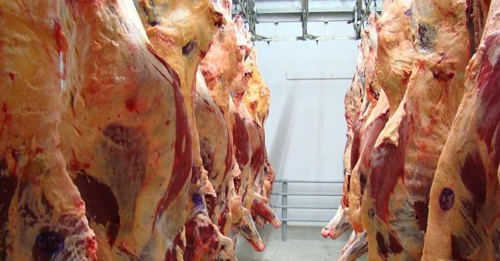 Egito e Emirados Árabes Unidos aumentam a compra de carne bovina mato-grossense • Portal DBO