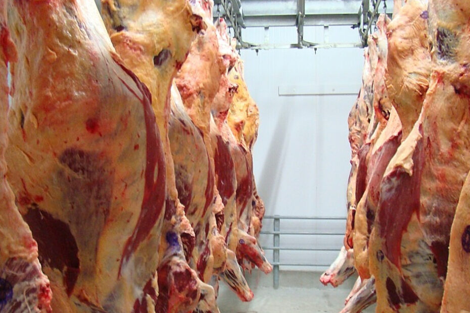 Egito e Emirados Árabes Unidos aumentam a compra de carne bovina mato-grossense • Portal DBO