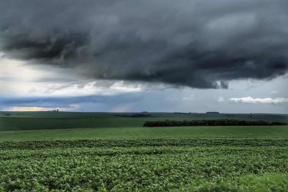 Chuvas irregulares e altas temperaturas impactam produções agrícolas