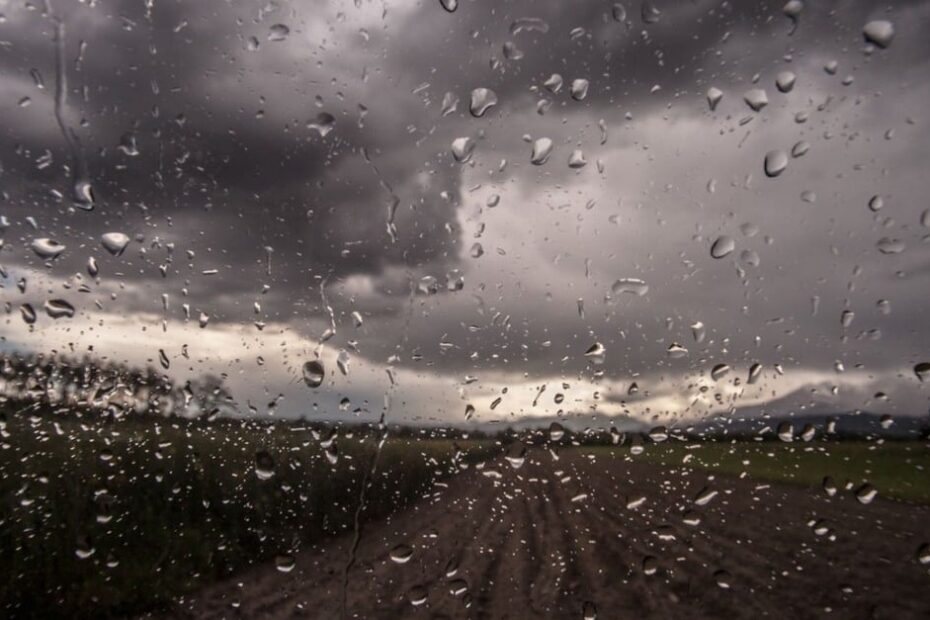 Intervalos de chuva ampliam desafios para pecuaristas no centro-norte do Brasil