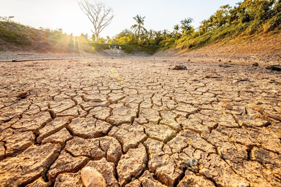 o que fazer quando a produção é afetada pela seca?