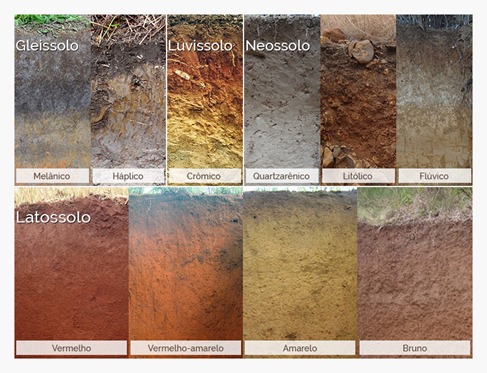 Você está visualizando atualmente Como os tipos de solos influenciam o manejo agrícola? Conheça e diferencie as 13 classes de solo brasileiras