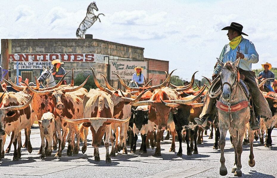 Conheça os segredos da pecuária revolucionária do Texas — CompreRural