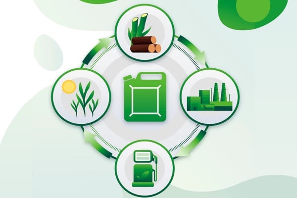 Biocombustíveis: conheça as 4 gerações