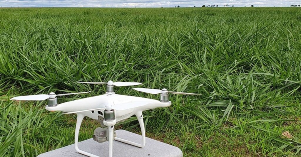 Pastagem: drones garantem precisão de 66% no monitoramento, afirma pesquisadora