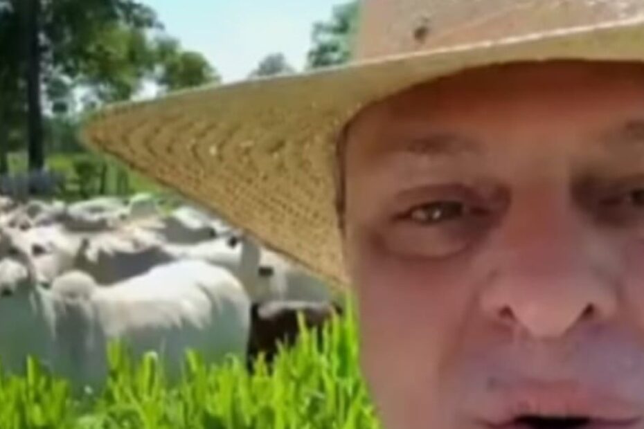 Fávaro grava vídeo exaltando a pecuária brasileira