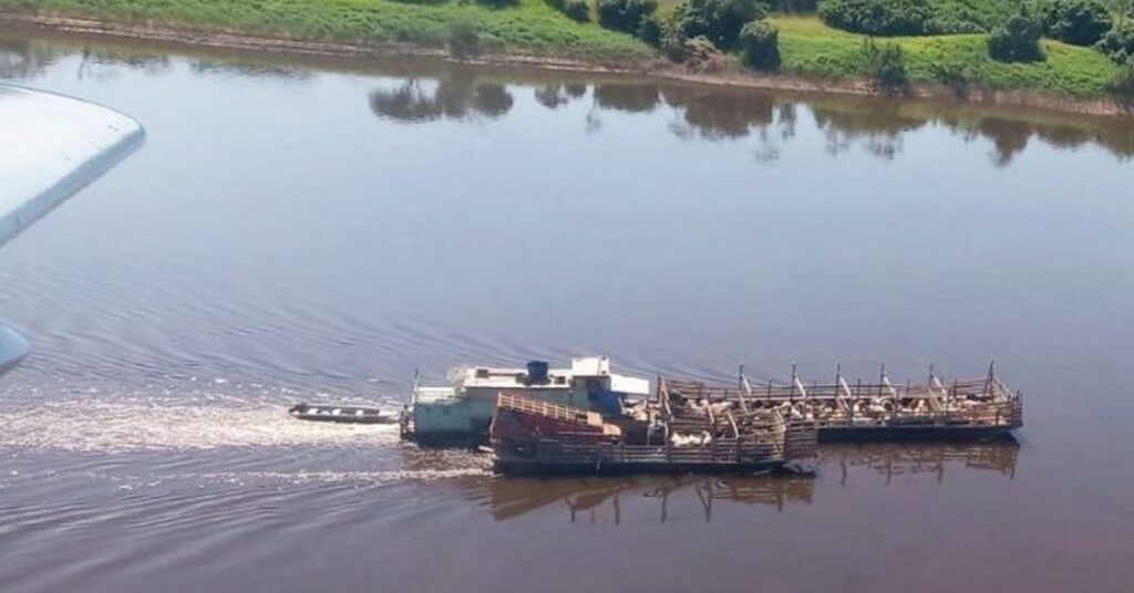 Fiscalização aérea reforça controle sanitário nas fronteiras de Rondônia • Portal DBO