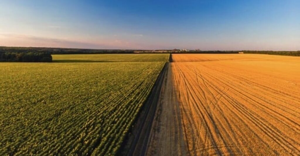 Mudanças climáticas estão impactando agronegócio brasileiro, diz pesquisador