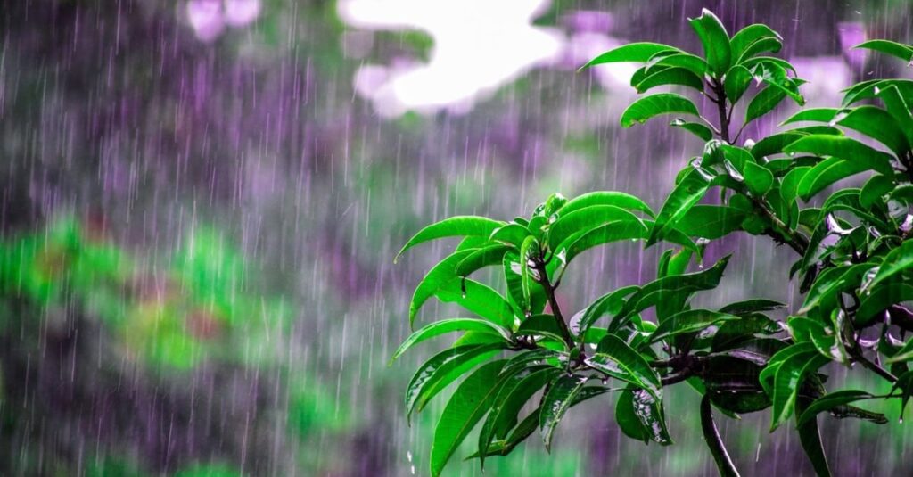 Chuvas volumosas marcam o clima no centro-norte do Brasil