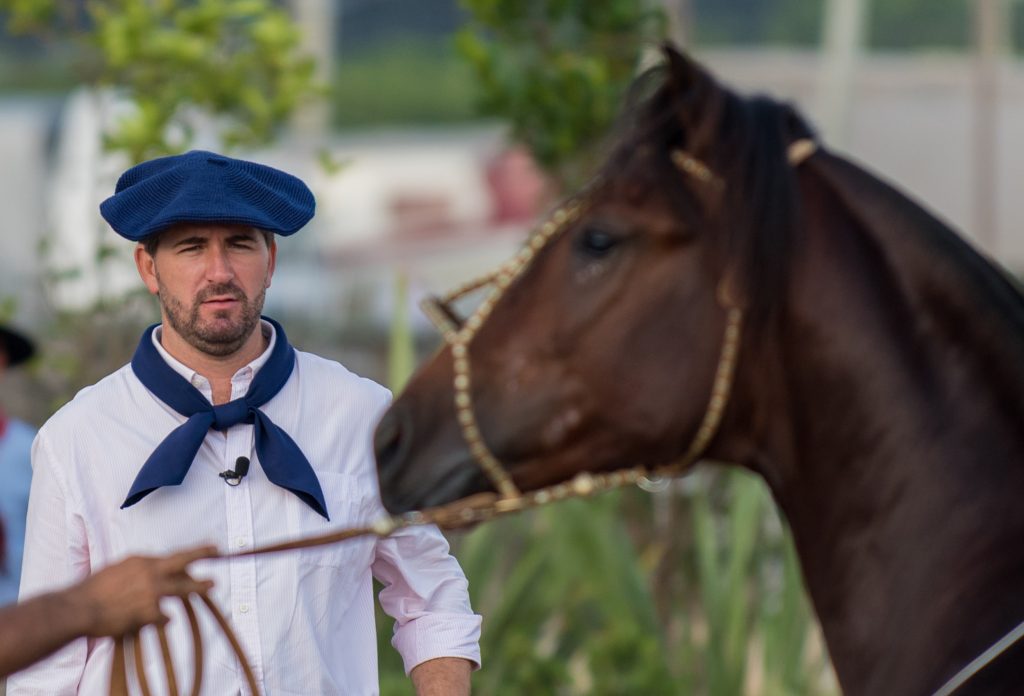 Mancha Crioula já tem jurado definido para a tradicional exposição de pelagens manchadas