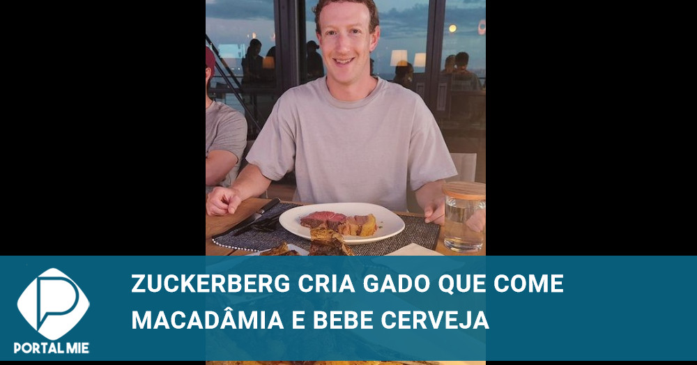 Mark Zuckerberg se volta para a criação de gado wagyu