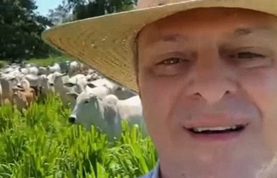 Ministro da Agricultura faz vídeo exaltando a pecuária brasileira - O Documento