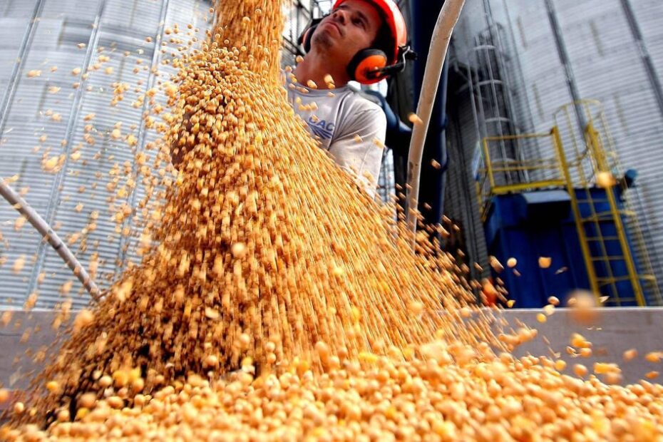 Soja poderá ter novo recorde e responder por metade de toda a produção de grãos do País, diz IBGE