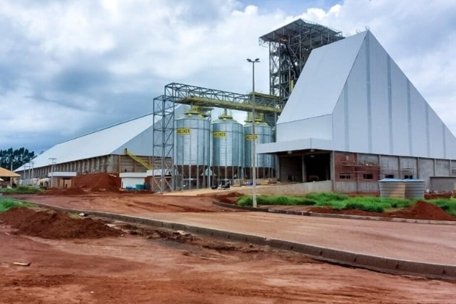 Cooperativa investe R$ 150 milhões em nova unidade de grãos