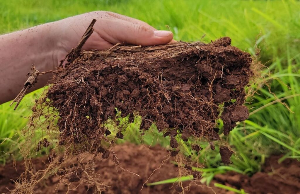 Embrapa lança curso sobre manejo e conservação de solo e água