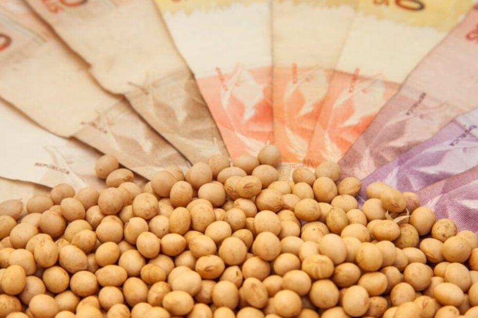 Preço da soja no Brasil não reage nem com altas de Chicago e dólar