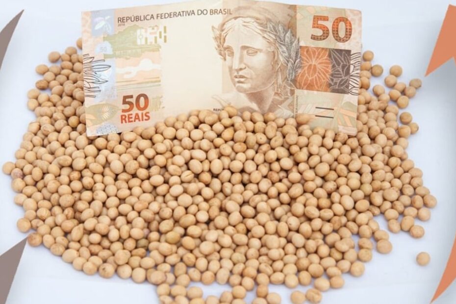 Confira os preços da soja no Brasil e em Chicago nesta terça