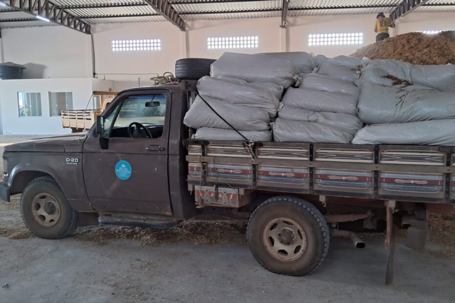 No quarto dia de distribuição, Prefeitura de Guanambi já atendeu mais de 800 produtores, para socorrer rebanho bovino com silagem - Notícias - Prefeitura Municipal de Guanambi