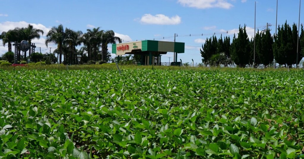 Expodireto Cotrijal: parque da feira já está sendo montado