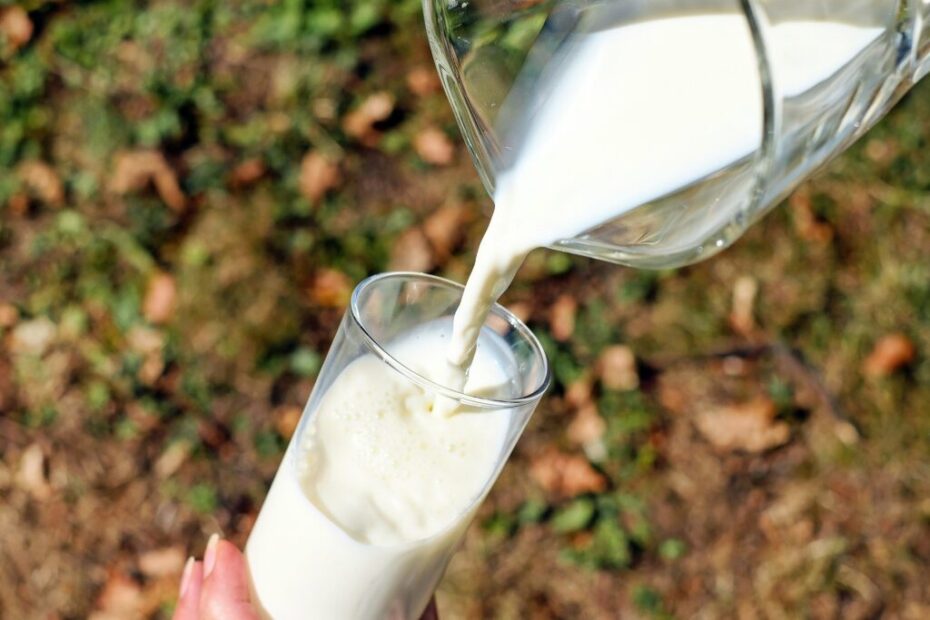 Valor Bruto da Produção de leite em Mato Grosso será menor