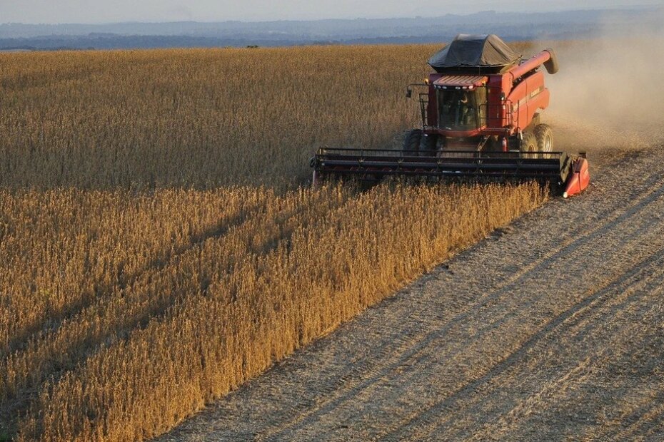 Colheita da safra 2023/24 de soja chega a 19% no Paraná, aponta Deral