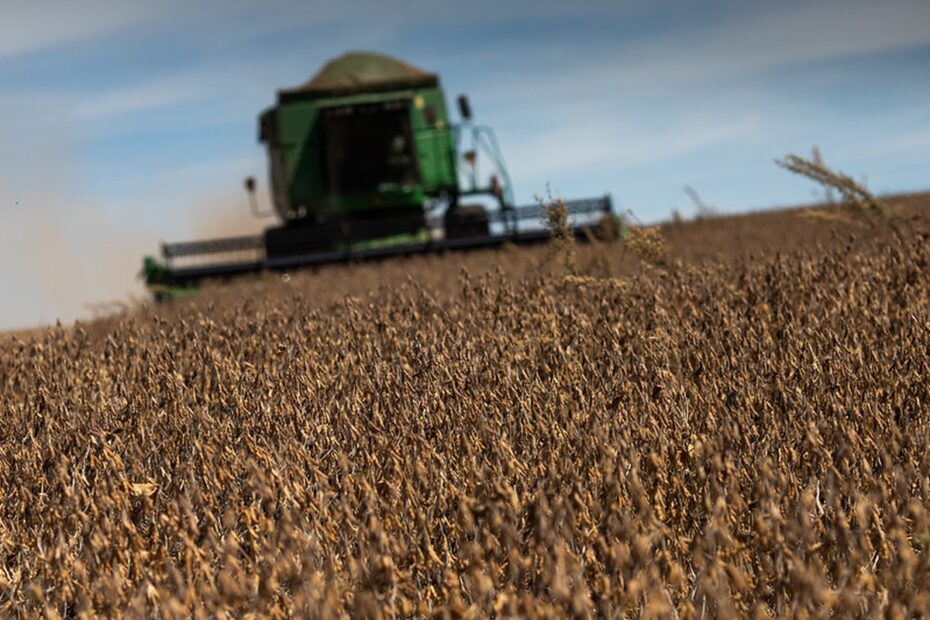 Soja, milho, algodão e sorgo terão safras recordes em 2023, diz IBGE | Agricultura