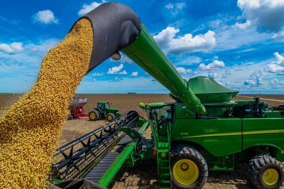 Soja, milho, trigo, sorgo e algodão vão bater recordes em 2023, aponta IBGE