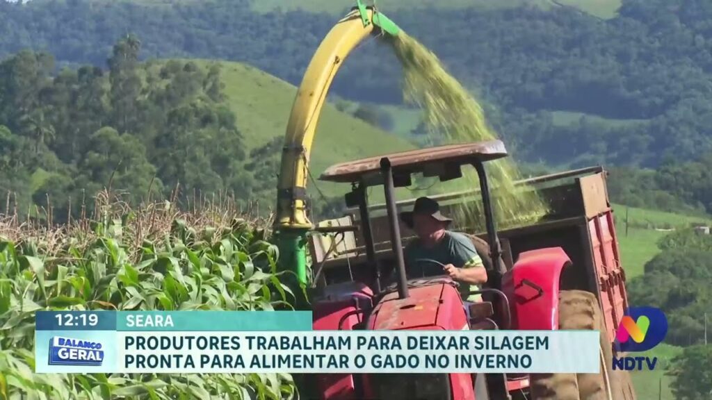 Desafio Agrícola: Seara Reinicia Produção de Silagem