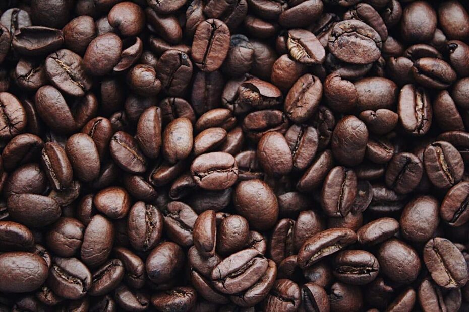 Segredos da rentabilidade no cultivo do cafe
