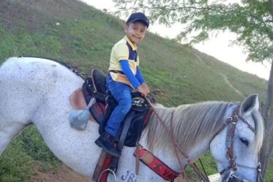 Menino de 4 anos morre arrastado por cavalo após ficar preso nas rédeas