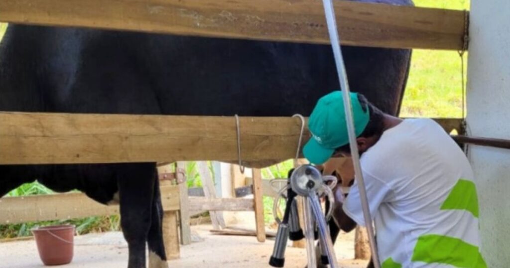 Inscrições para cursos técnicos de zootecnia e agronegócio vão até o próximo dia 19